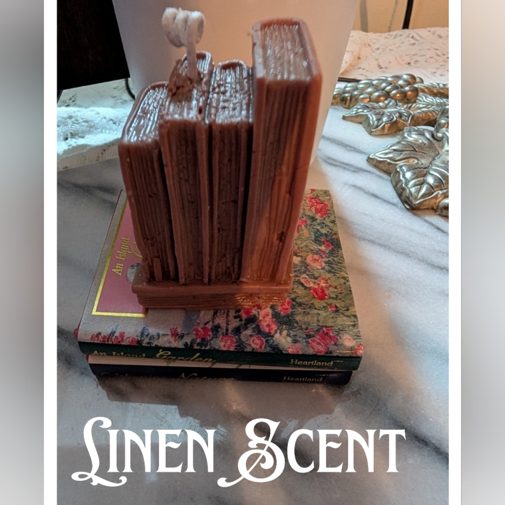 Hand poured Soy Brown Books Candle Figurine-2 Designs